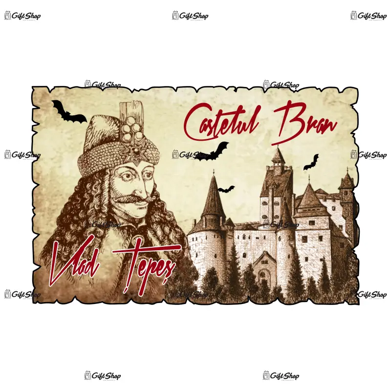 Mgs070-magnet frigider-castelulbran-romania